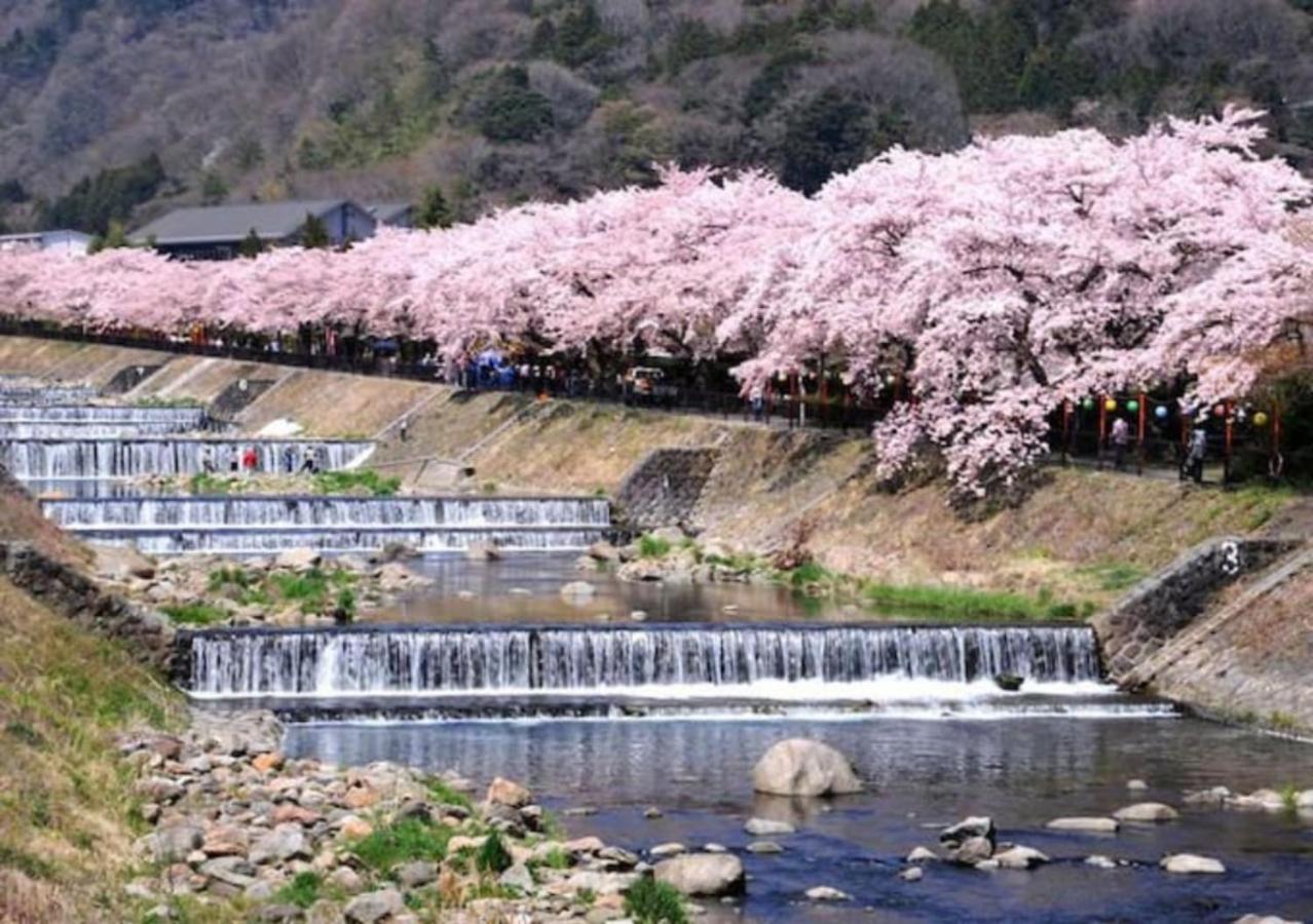 Sakuraso - Vacation Stay 12567 Hakone Eksteriør billede